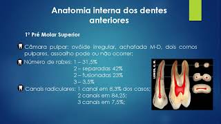 Aula 1 Endodontia  Anatomia dos canais radiculares [upl. by Aliuqet]