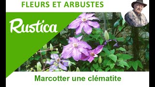 Marcotter une clématite [upl. by Bensky]