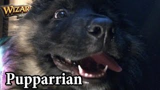 Kripparrian Introduces Pupparrian RIP Catarrian [upl. by Emelita]