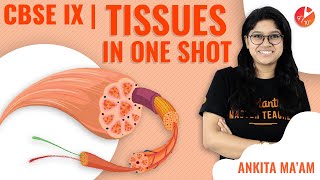 Tissues in OneShot  CBSE Class 9 Biology  Science Chapter 6  Tissues Crash Course NCERT Vedantu [upl. by Georgeanne41]