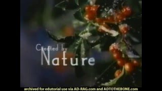 Glade  3 in 1 Holiday commercial  2000 [upl. by Stephi]