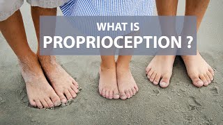 What is Proprioception [upl. by Marka]