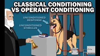 CLASSICAL VS OPERANT CONDITIONING [upl. by Leimad]