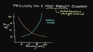 Pricing in a FreeMarket Economy [upl. by Cacilie596]