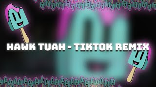 Hawk Tuah  TikTok REMIX [upl. by Domash19]