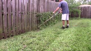 30 minutes of timelapse weed whacking [upl. by Posner]