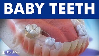 Baby teeth and the use of space maintainers © [upl. by Anhsirk668]