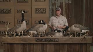 DSD Giant Decoys  Product Highlights [upl. by Netsreik]