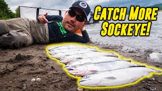 How To CATCH Columbia River SOCKEYE Salmon BANK FISHING [upl. by Selinda]