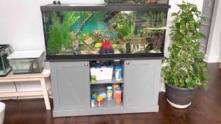 Marineland 75 Gallon Tank Review [upl. by Gilson]