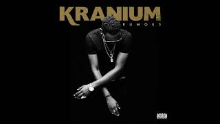 Kranium  Last Night with Lyrics [upl. by Summer]