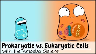 Prokaryotic vs Eukaryotic Cells Updated [upl. by Norreht]