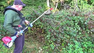 Review  Oregon Universal Mulching Brushcutter Blade  Absolutely Brilliant [upl. by Alrahs]