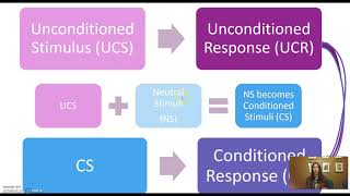 Conditioned vs Unconditioned Stimulus and Response [upl. by Rockel]