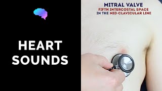 Heart murmur sounds cardiac auscultation sounds  UKMLA  CPSA  PLAB 2 [upl. by Trub]