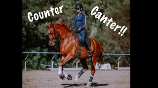 The Counter Canter [upl. by Lemra909]