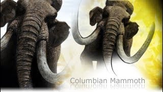 Primeval  Columbian Mammoth Mammuthus columbi [upl. by Kcirdde]