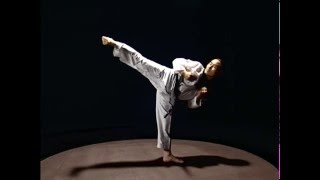 Taekwondo basic kicks [upl. by Lantha]