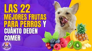 FRUTAS RECOMENDADAS PARA PERROS [upl. by Lula235]