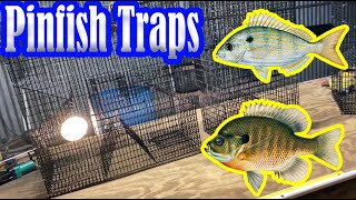 Pinfish Trap  Overview of the Clover and Rectangular Style Pinfish Traps [upl. by Jannelle617]