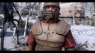 Skyrim New InGame NPC Editor That Does So Much More [upl. by Prior]