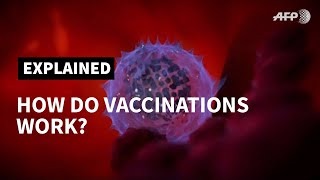 How do vaccines work  AFP [upl. by Clute999]