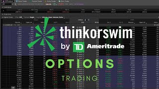 ThinkorSwim Tutorial Options Trading [upl. by Snahc]