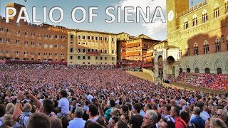 THE PALIO OF SIENA – Italy 🇮🇹 HD [upl. by Robbi]