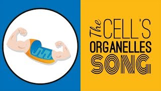 Cells Tissues Organs Organ systems  Level of organisation in organisms  Easy science video [upl. by Sophey646]