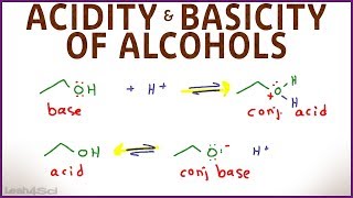 Acidity and Basicity of Alcohols [upl. by Acirat]