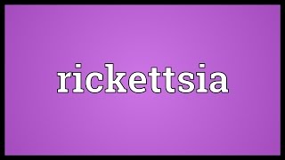 Rickettsia Meaning [upl. by Ynehteb312]