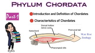 Part1 Introduction and Definition of ChordatesCharacteristics of ChordatesMsc Bsc Zoology NEET [upl. by Athal]