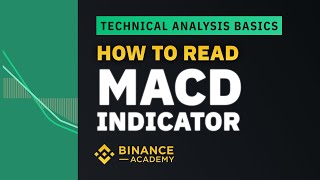 How to Read MACD Indicator ｜Explained For Beginners [upl. by Siddra]