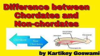 Difference between chordates and non chordates [upl. by Marleen]