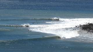 Surfing The Californian Cape St Francis [upl. by Atinrahc]