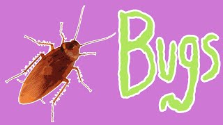 Bad Bugs  Insect Pests for Kids [upl. by Anirres]