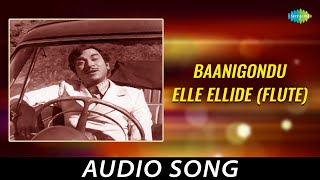 Baanigondu Elle Ellide Flute  Dr Rajkumars Melody  Instrumental From Kannada Flims [upl. by Campman]