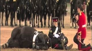 Beating Retreat 2013 The Household Cavalry Mounted Band [upl. by Gerita577]