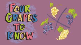 Explaining Wines from Spain 4 Grapes to Know [upl. by Maag]