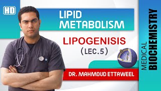 Lipid Met  lec5  FA synthesis amp Lipogenesis [upl. by Ranee]