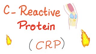 CReactive Protein CRP  Inflammation  Acute phase reactant [upl. by Aticilef]