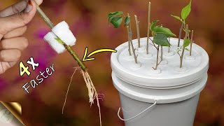 FASTEST METHOD OF ROOTING PLANT CUTTINGS  DIY HYDROPONIC CLONER [upl. by Colby848]