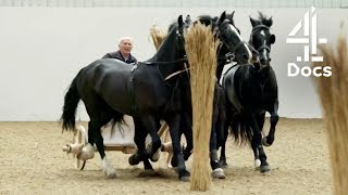 The Brutal Truth Behind Ancient Romes Chariot Races [upl. by Ecitnerp529]