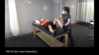 PNF Proprioceptive Neuromuscular Facilitation for the Lower Extremity [upl. by Noiramaj]