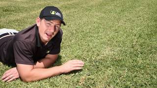 How to remove invading grass varieties from your lawn [upl. by Eerdua482]