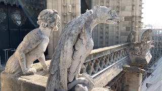 The Bells of NotreDame de Paris  April 14 2019 Day Before Fire [upl. by Coussoule]