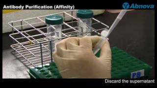 Antibody Purification Affinity [upl. by Orly]