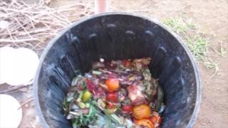 How to start a compost bin [upl. by Sibby]