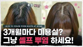 단돈 ‘5000원’ 으로 집에서 셀프 뿌염 성공하는 방법  염색빗 꿀팁🌸 내주제에 Ep 24 l HOW TO COLOR YOUR ROOTS AT HOME [upl. by Rhona404]