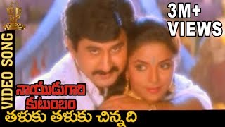 Taluku Thaluku Chinnadi Video Song  Naidugari kutumbam Telugu Movie  Suman  Swarna [upl. by Ytsenoh]